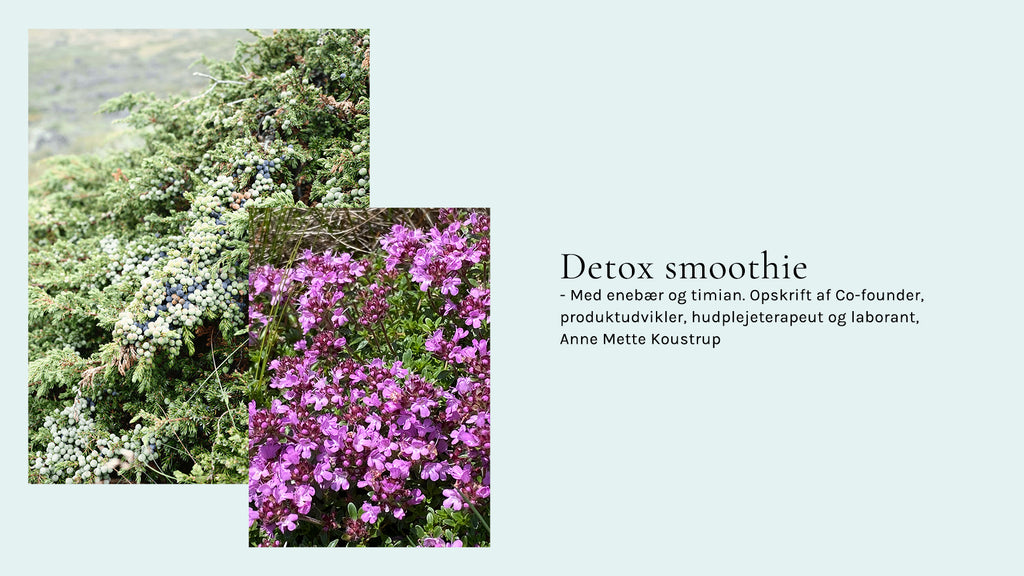 Opskrift på Detox Smoothie - af Co-founder, produktudvikler, hudplejeterapeut og laborant, Anne Mette Koustrup