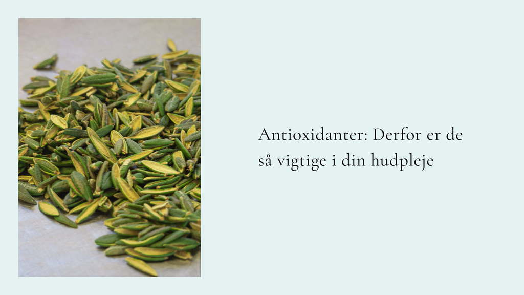 Antioxidanter: Derfor er de så vigtige i din hudpleje